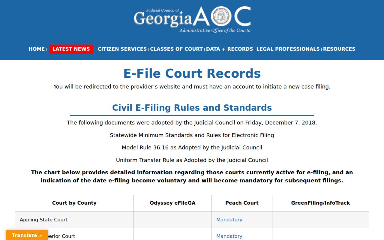 Rockdale County criminal court case provider matrix